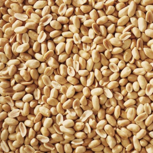 Peanuts Wild Bird Food 5 Pounds R78461
