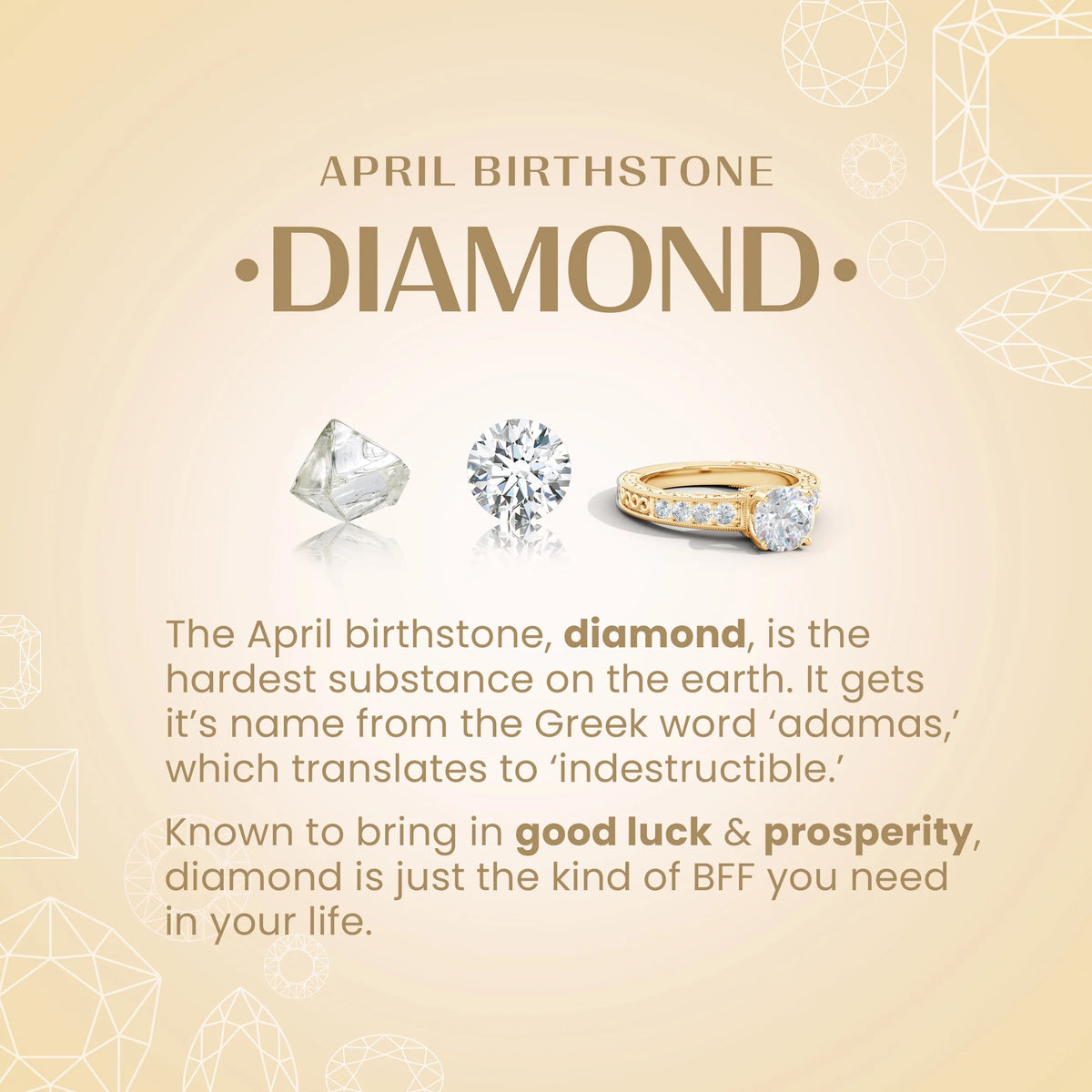 14K Yellow Gold Diamond Drop Earrings P6885