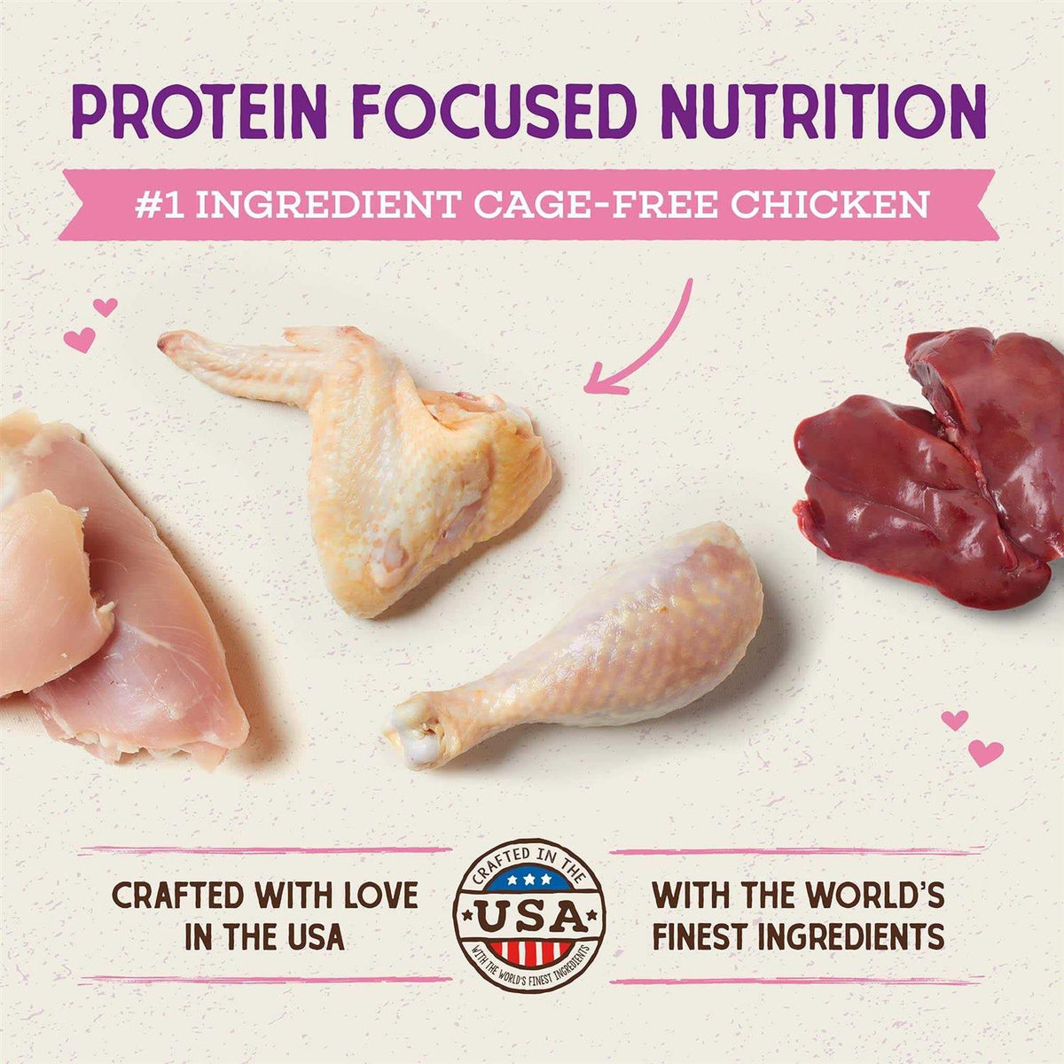 Chicken Kitten Dry Cat Food V161938