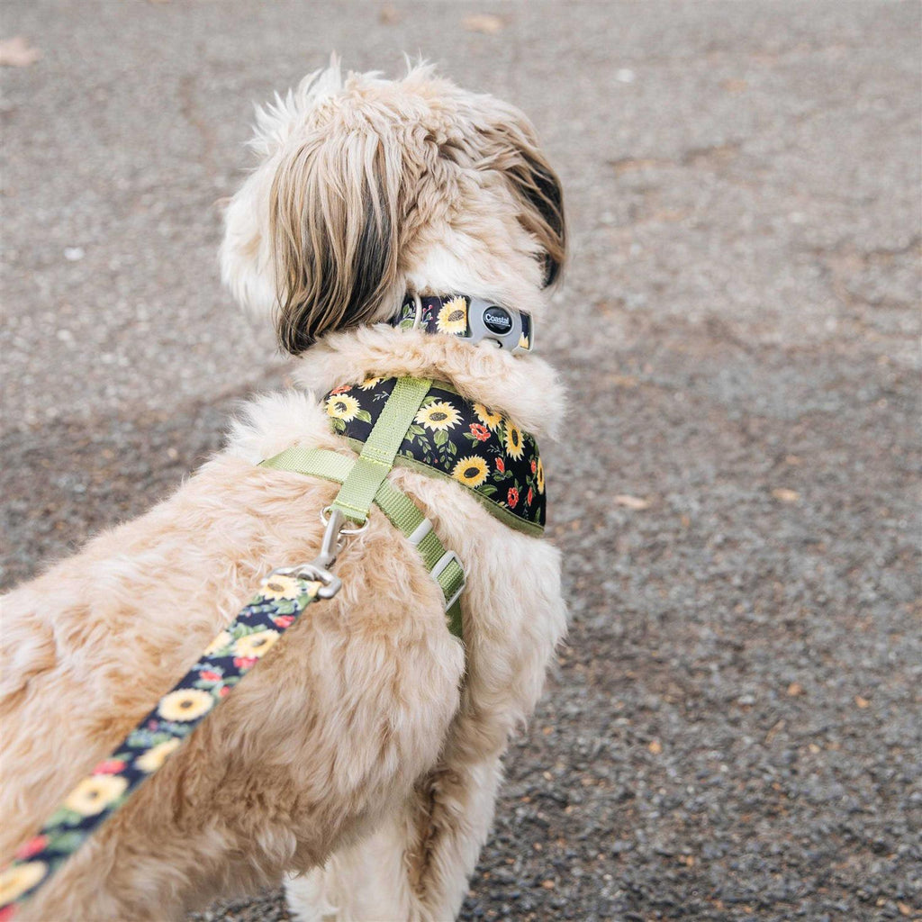 Adjustable Dog Collar Z656483