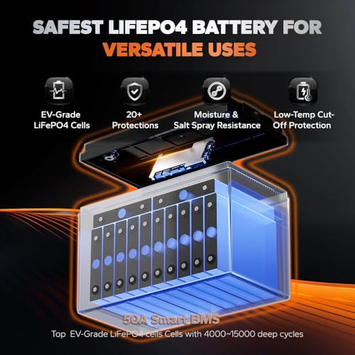 36V 50Ah LiFePO4 Battery with 43.8V 25A Charger P7534