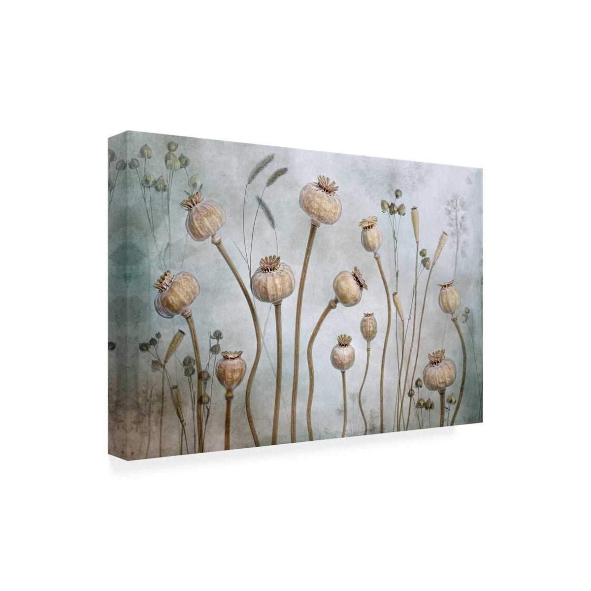 Canvas Art W2738