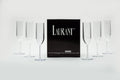 Set of 6 Crystal Clear Tritan Plastic Champagne Flutes Y35673