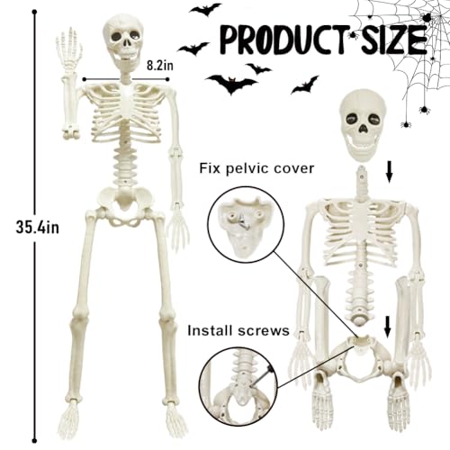 5.9FT Plastic Full Size Human Skeleton with Movable Joints I329