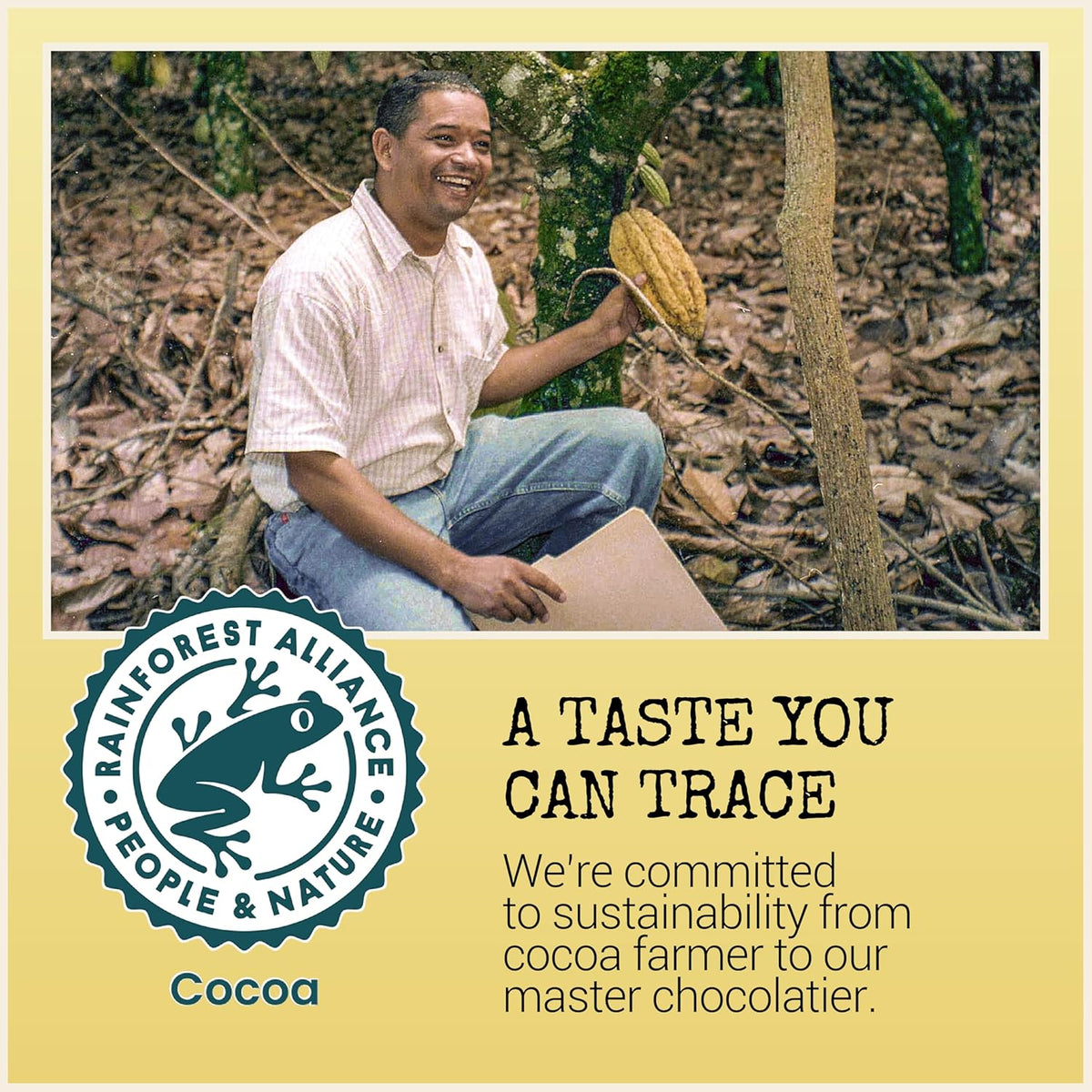 Dark Chocolate Bars 55% Cocoa 3.2oz Bar 12 Pack K3962