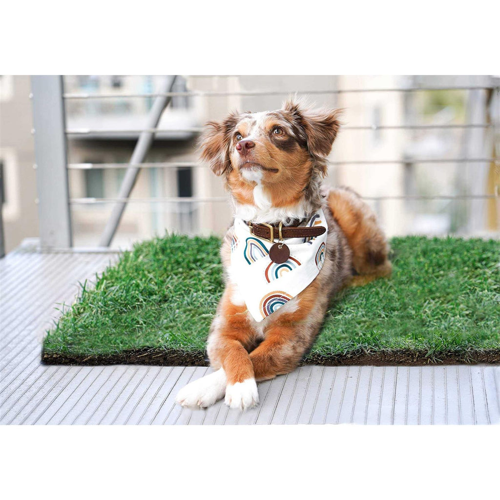 Real Grass Dog Potty J731