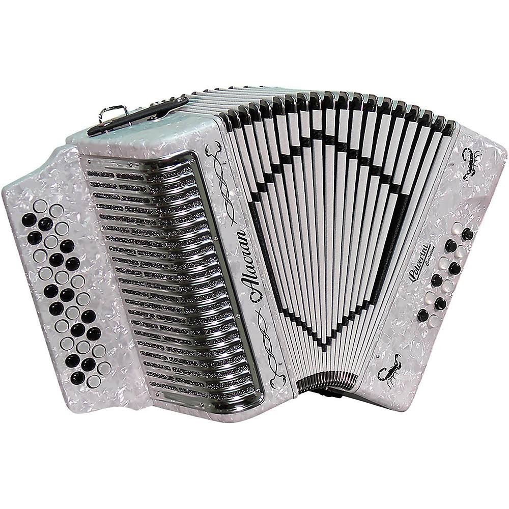 Accordion with Case and Straps White Sol/GCF G9207