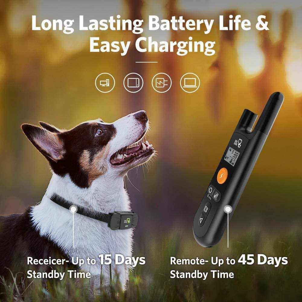 Dog Training System W816