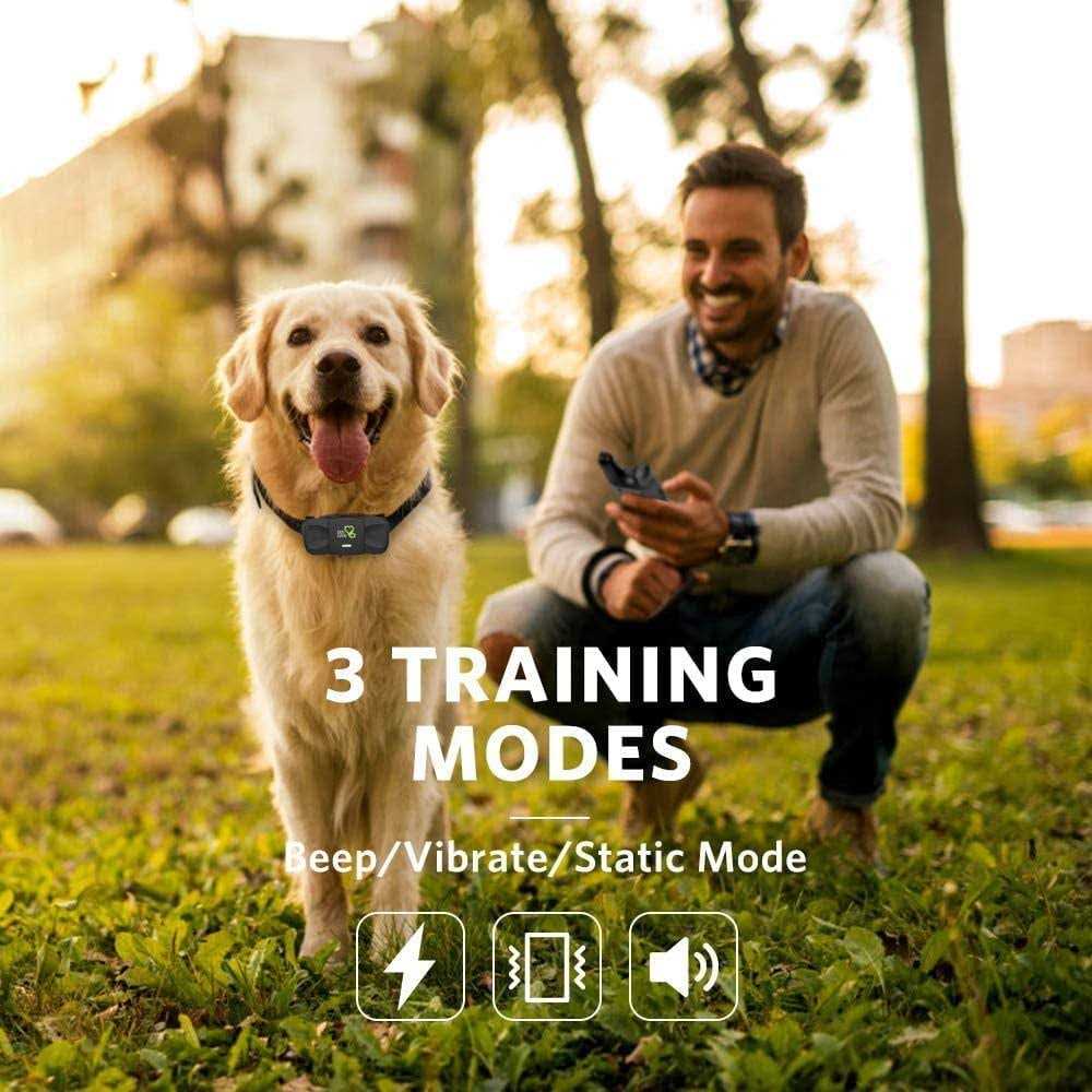 Dog Training System W816