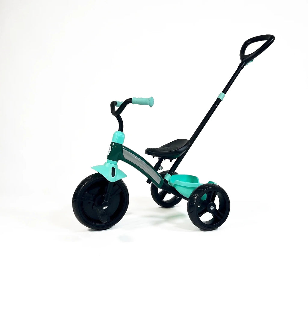 Tricycle J79529