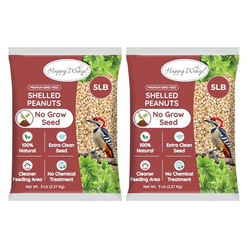 Peanuts Wild Bird Food 5 Pounds R78461