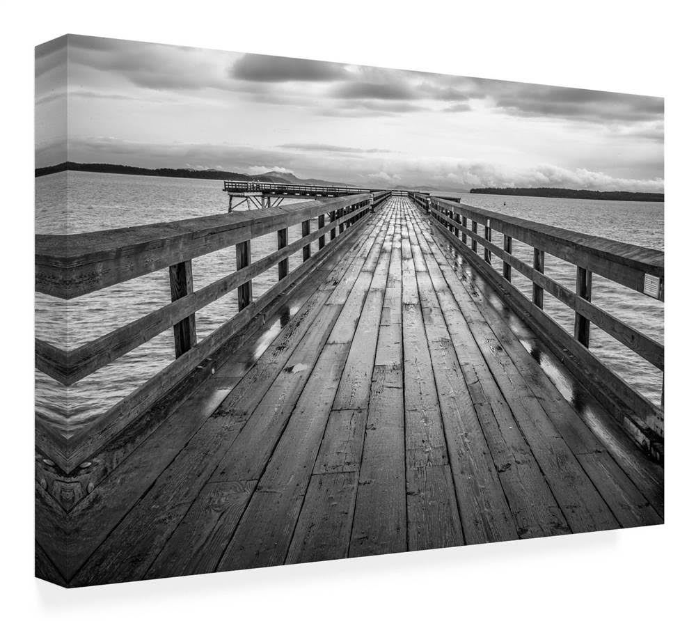 Canvas Art X42217