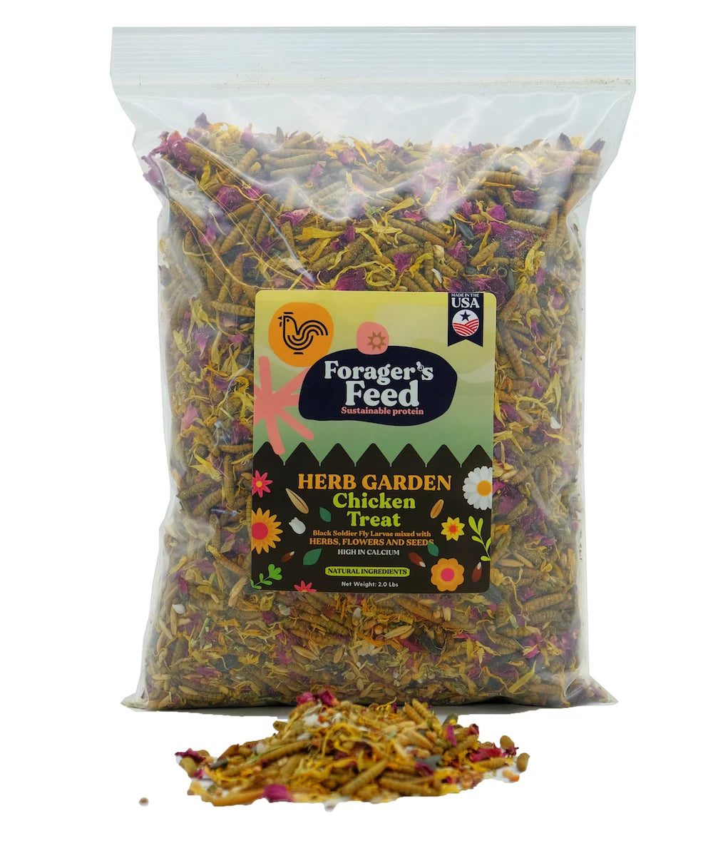 Black Soldier Fly Larvae with Herbs Flowers & Seeds 2 Lbs A200