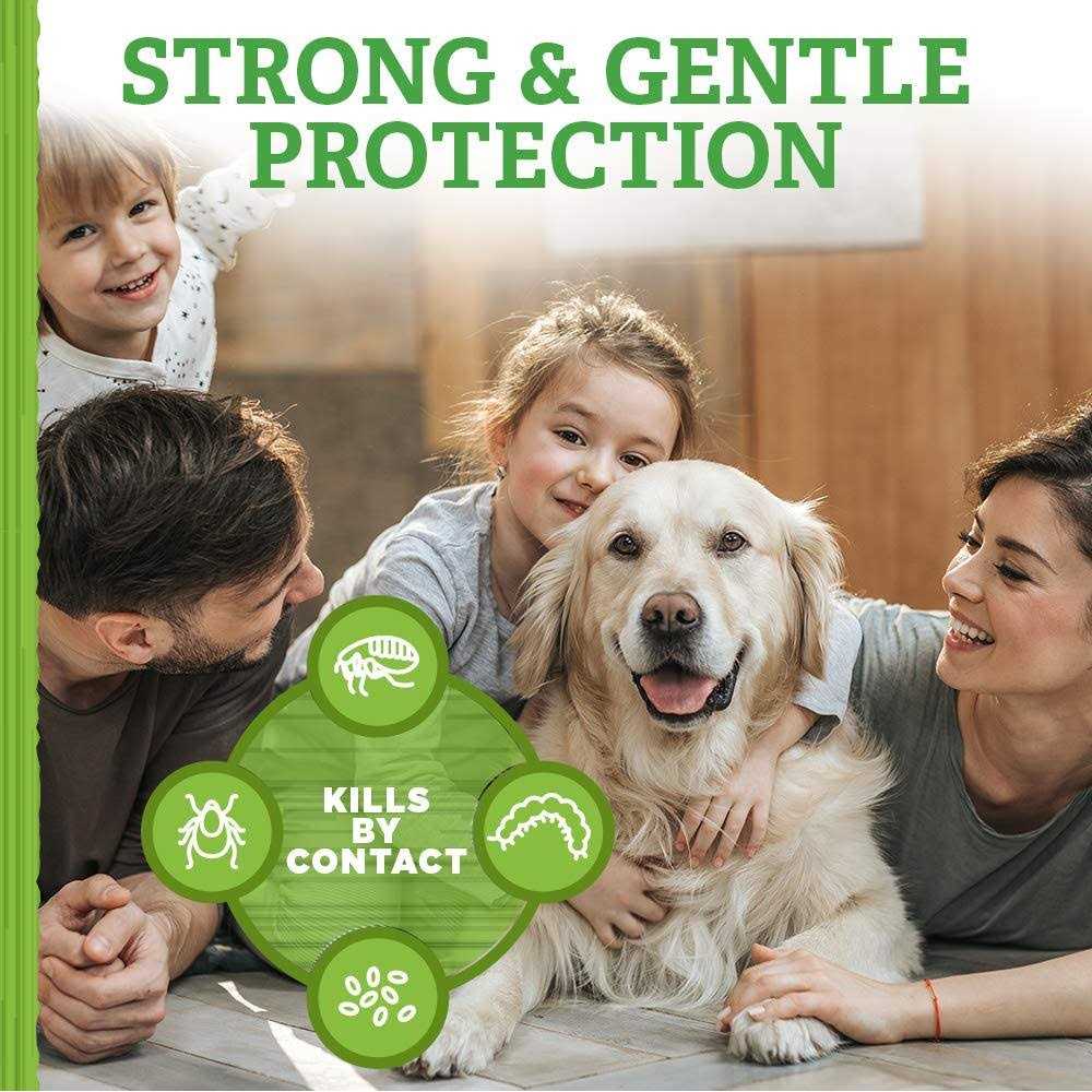 Shampoo Flea Tick S9086