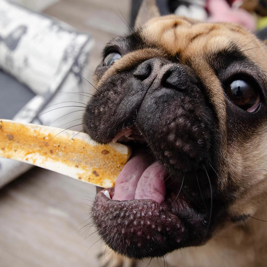 Large Grade A Split Elk Antler Dog Chew Q331585