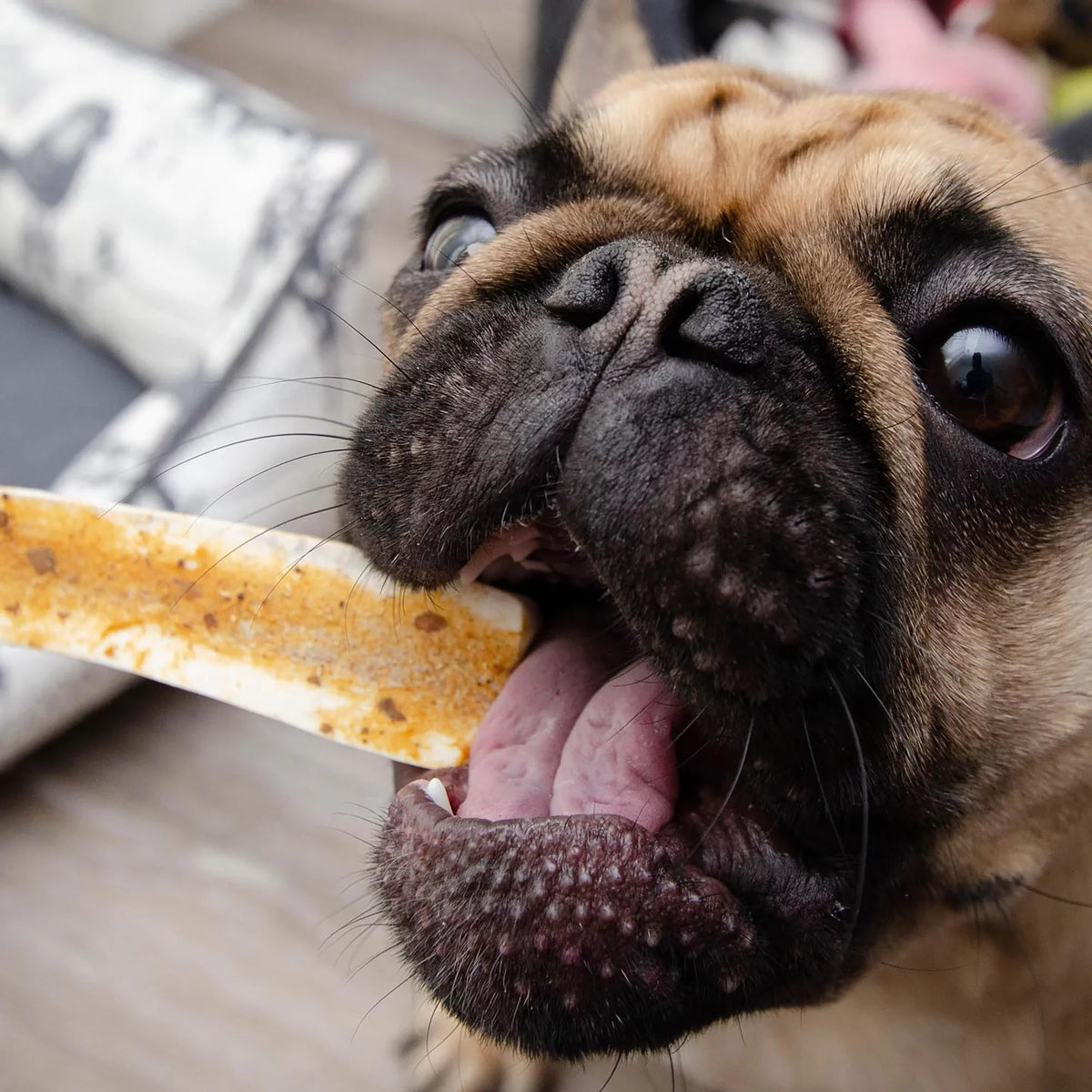 Large Grade A Split Elk Antler Dog Chew Q331585