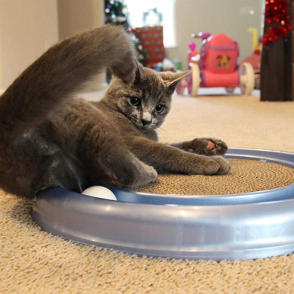 Cat Toy D291404