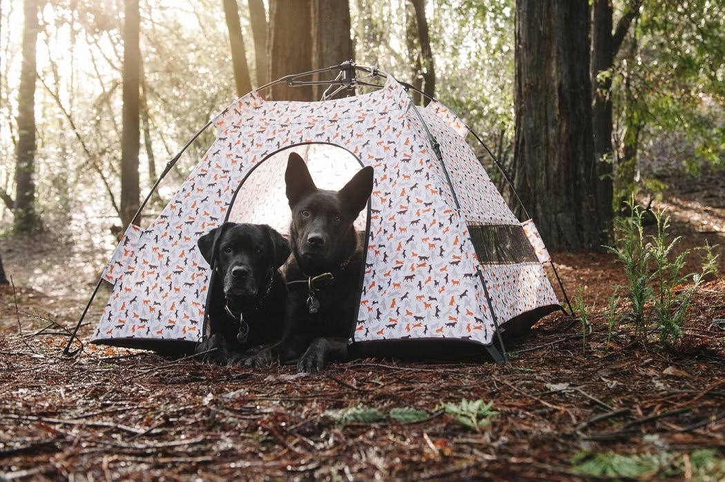 Outdoor Dog Tent - One Size K35727