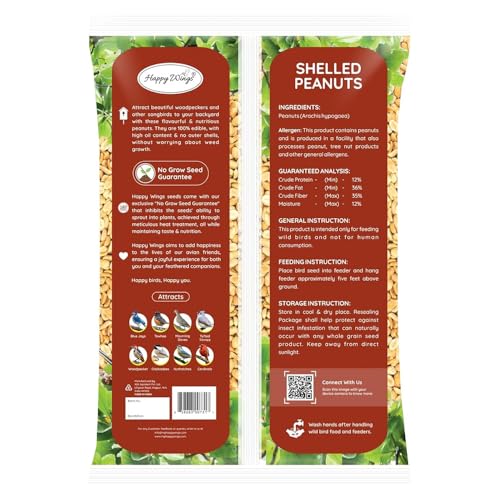 Peanuts Wild Bird Food 5 Pounds R78461