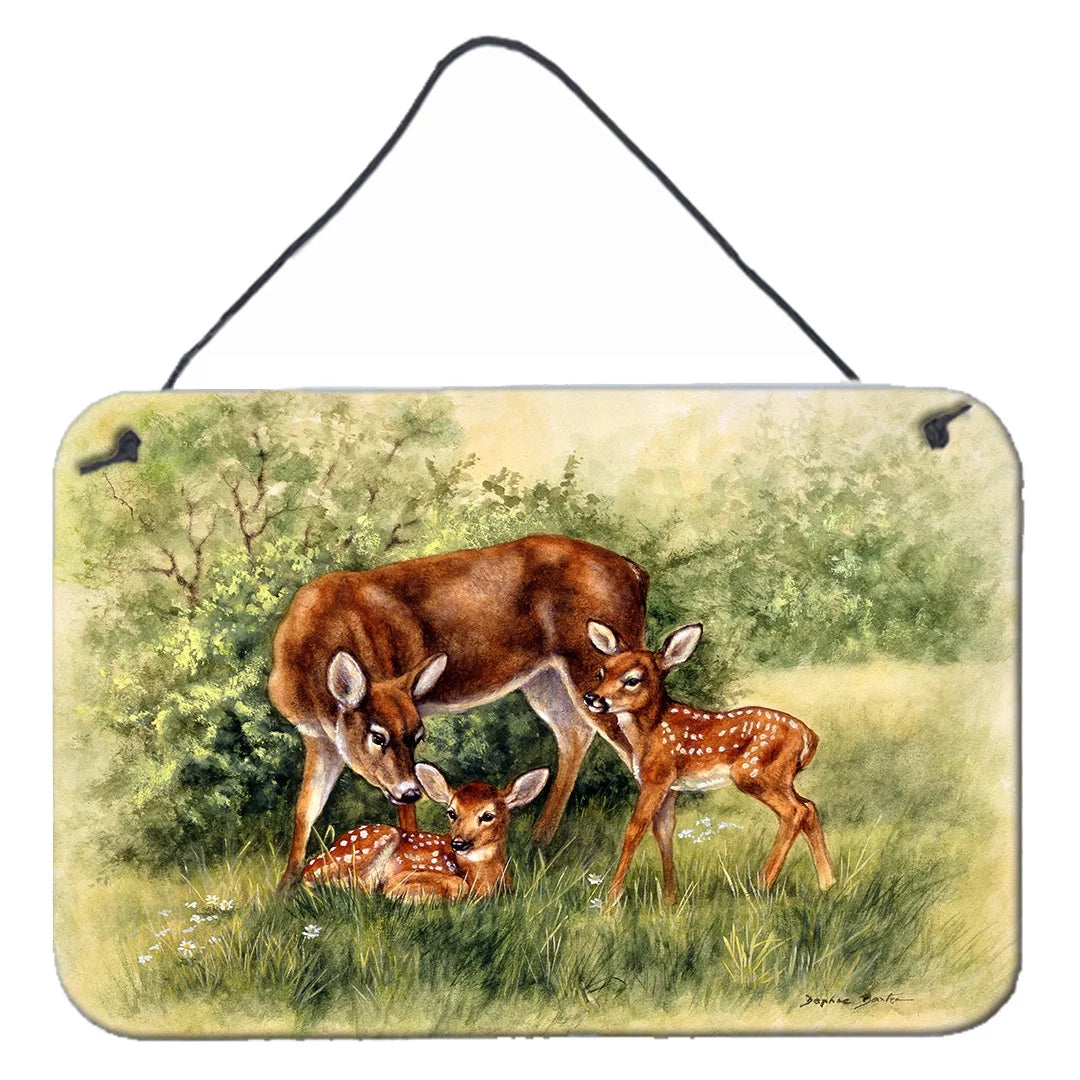 Deer Wall or Door Hanging Prints 8x12 C309391