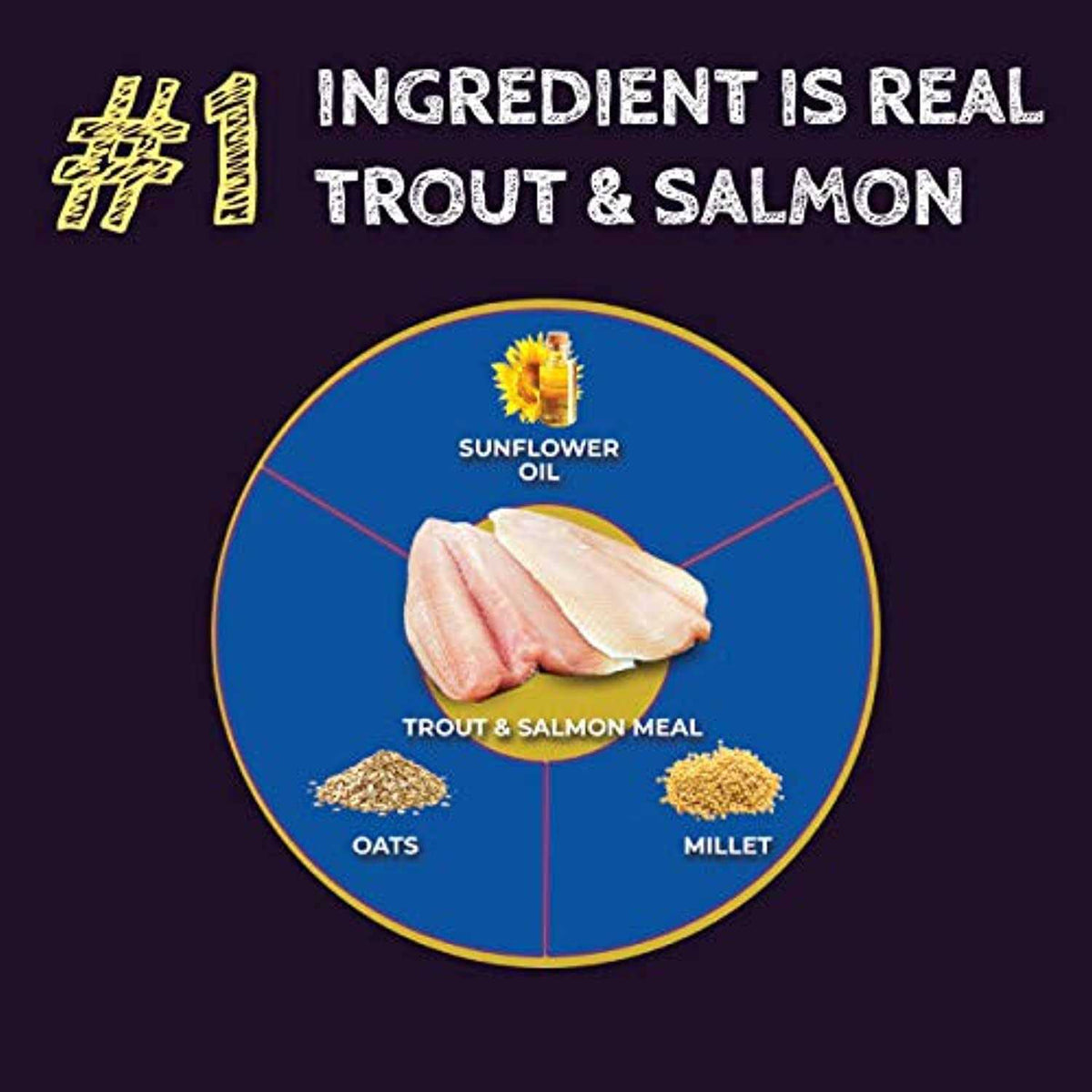 Trout & Salmon Formula Dry Dog Food E941