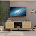 Rattan TV Stand with 2 Rattan Doors X225802
