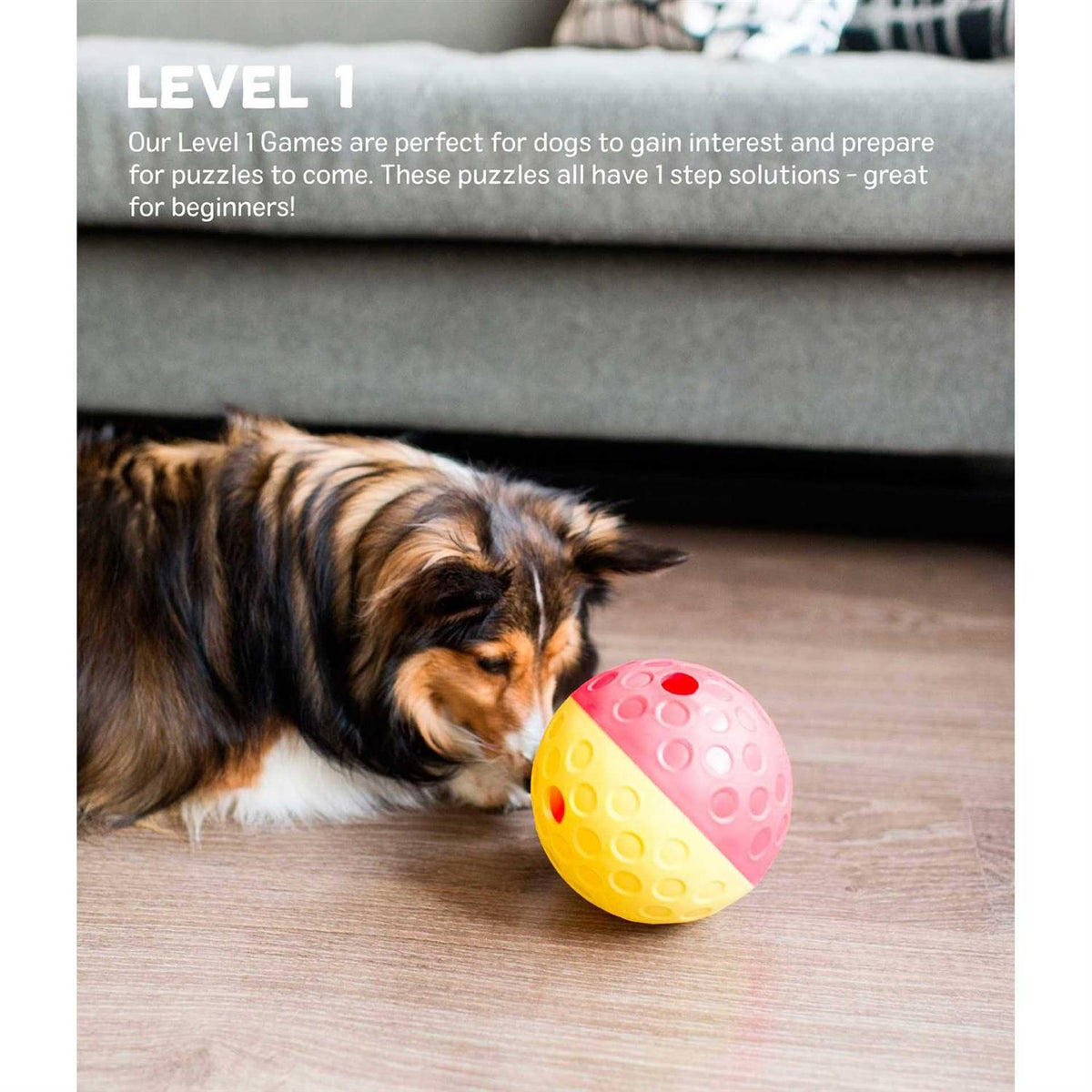 Treat Tumble Dog Toy G3478