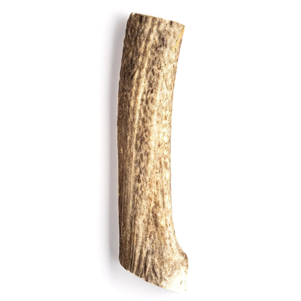 Large Grade A Split Elk Antler Dog Chew Q331585