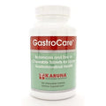 GastroCare 100T I44731