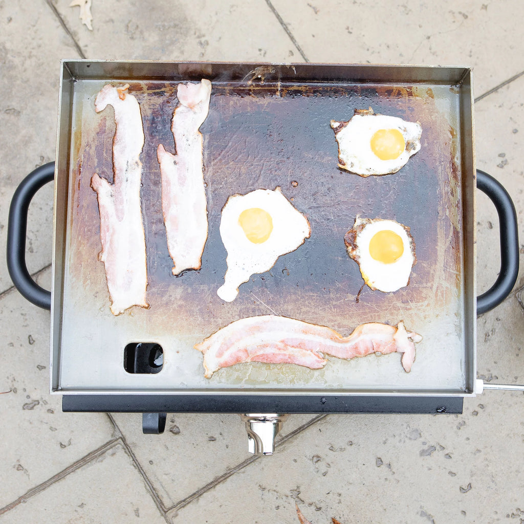 Portable 1 Burner LP Propane Gas Grill R1914