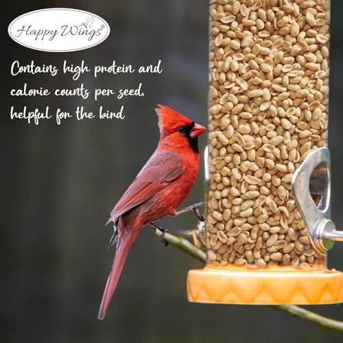 Peanuts Wild Bird Food 5 Pounds R78461