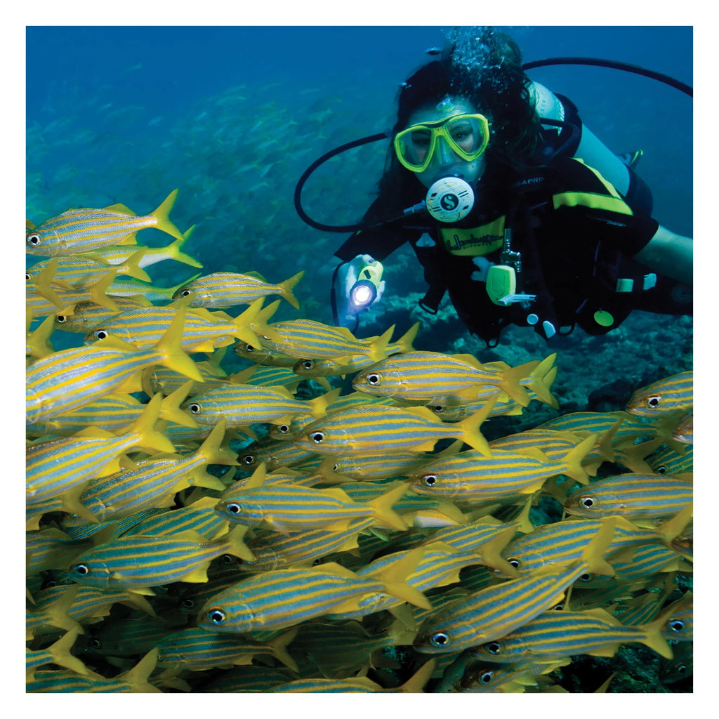 Safety Yellow Dive Light K9935
