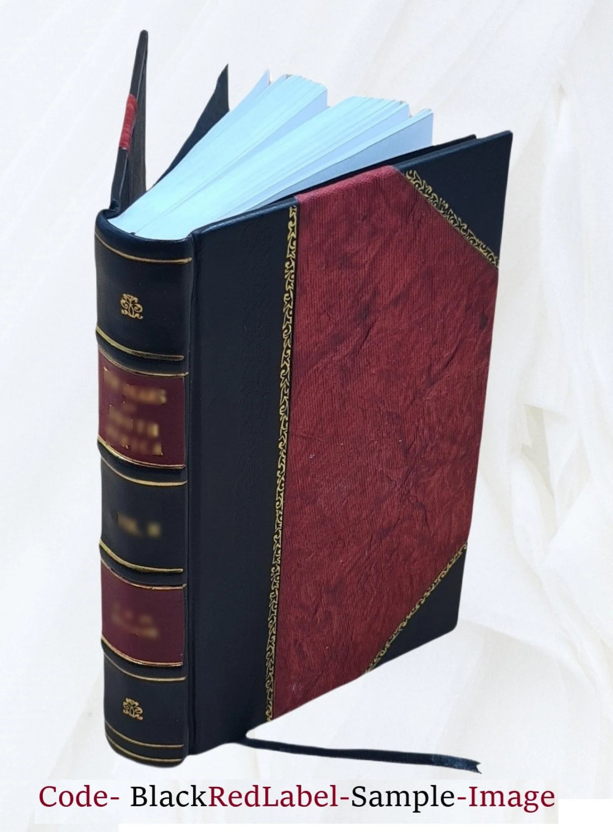 Leather Bound Book Y32266